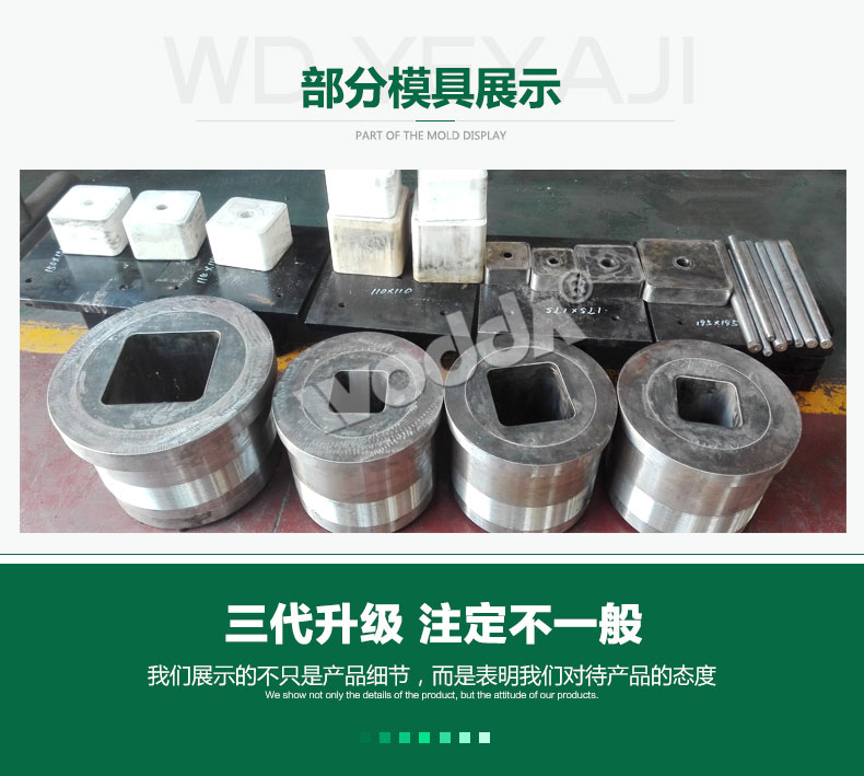 牛羊舔磚(zhuan)液壓機模(mó)具